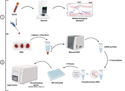 Comparison between standard hematological parameters and blood doping biomarkers in dried blood spots within the athlete population of Swiss Sport Integrity